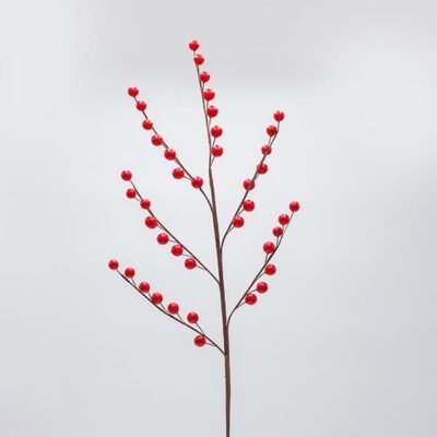 ΚΛΑΔΙ ΜΕ ΚΟΚΚΙΝΑ BERRIES, 72cm (600-47651)