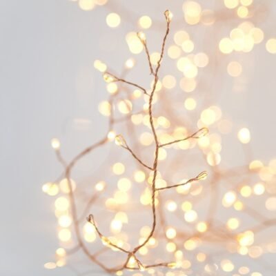 CLUSTER 5,1m, 300 MINI LED, ΜΕΤΑΣΧΗΜΑΤΙΣΤΗ, ΣΤΑΘΕΡΟ, ΜΠΡΟΝΖΕ ΧΑΛΚΙΝΟ ΚΑΛΩΔΙΟ, ΘΕΡΜΟ ΛΕΥΚΟ LED, ΠΡΟΕΚΤΑΣΗ ΠΑΡΟΧΗΣ 5m, IP44 (600-08121)