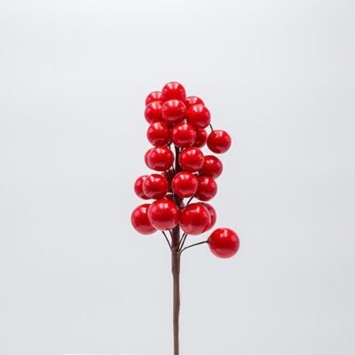 ΠΙΚΑΚΙ ΜΕ ΚΟΚΚΙΝΑ BERRIES, 28cm (600-47619)