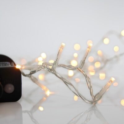ΣΕΙΡΑ, 700 LED 3mm, 31V ΜΕΤΑΣΧΗΜΑΤΙΣΤΗ, 8 ΠΡΟΓΡΑΜΜΑΤΑ & ΜΝΗΜΗ, ΔΙΑΦΑΝΟ PVC ΚΑΛΩΔΙΟ, ΘΕΡΜΟ ΛΕΥΚΟ LED ΑΝΑ 5cm, ΠΡΟΕΚΤΑΣΗ ΠΑΡΟΧΗΣ 3m, ΙΡ44 (600-14501)