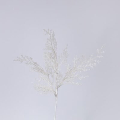ΦΤΕΡΗ ΛΕΥΚΗ, 28cm, ΣΕΤ 2ΤΜΧ (TOP 120) (600-46559)
